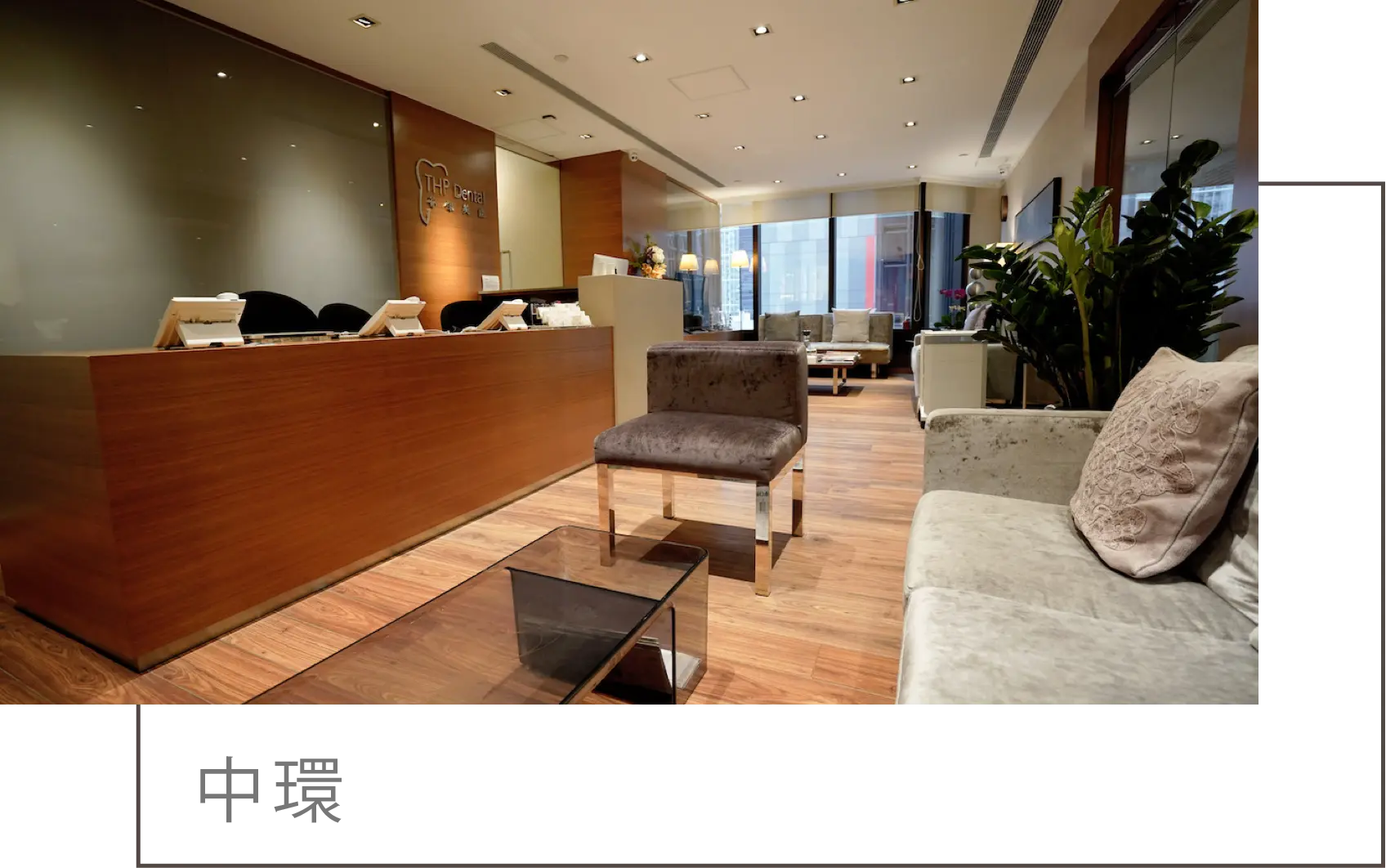 THP Dental 中環診所