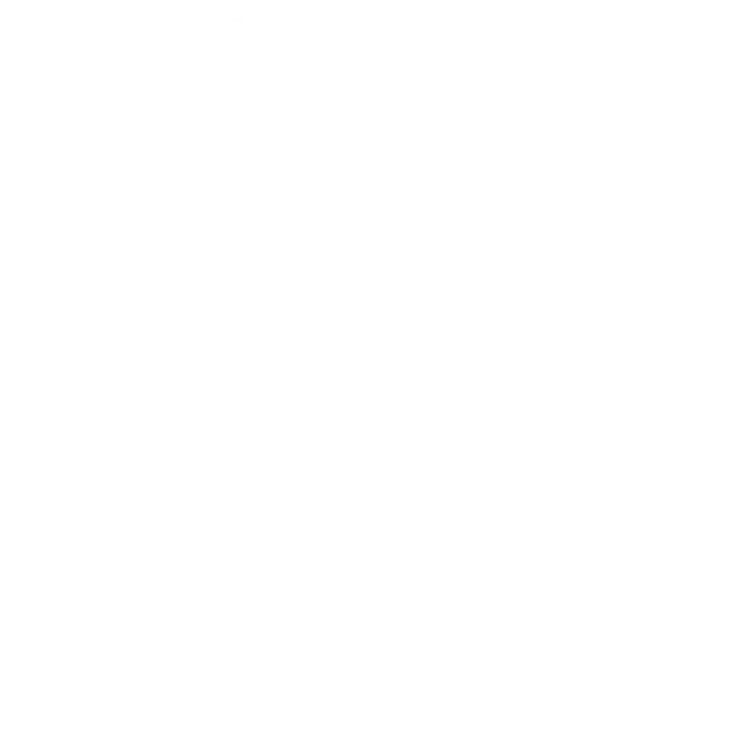THP Dental 支援人員